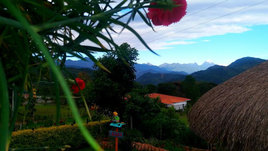 ハルディン Coliving La Boira Bed & Breakfast エクステリア 写真