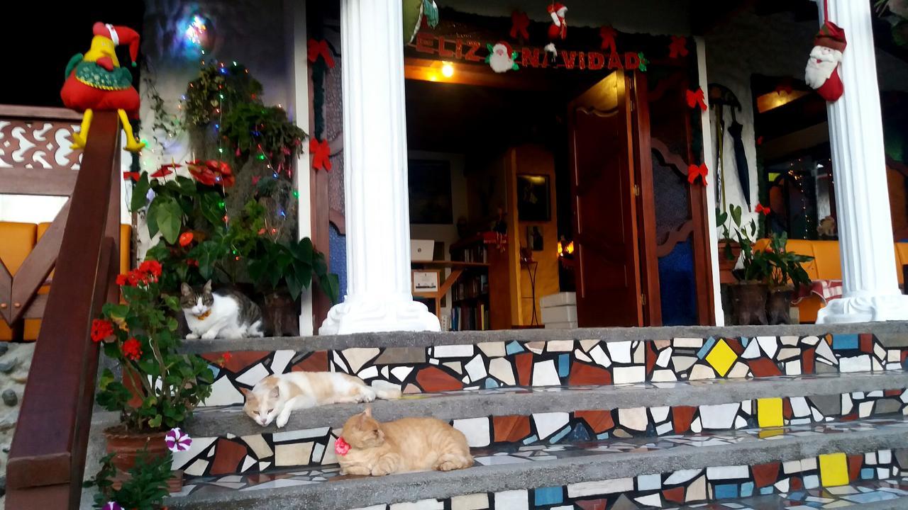 ハルディン Coliving La Boira Bed & Breakfast エクステリア 写真